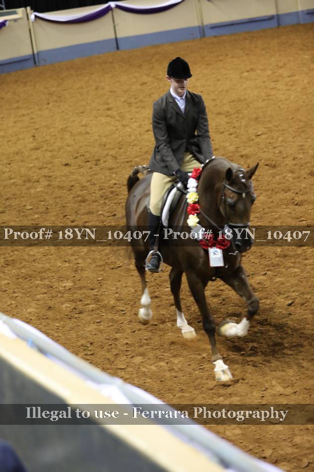 Proof 18YN_10407