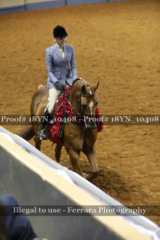 Proof 18YN_10408