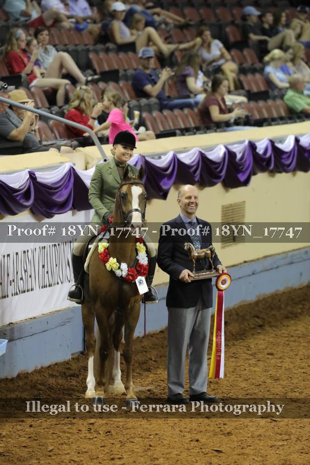 Proof 18YN_17747