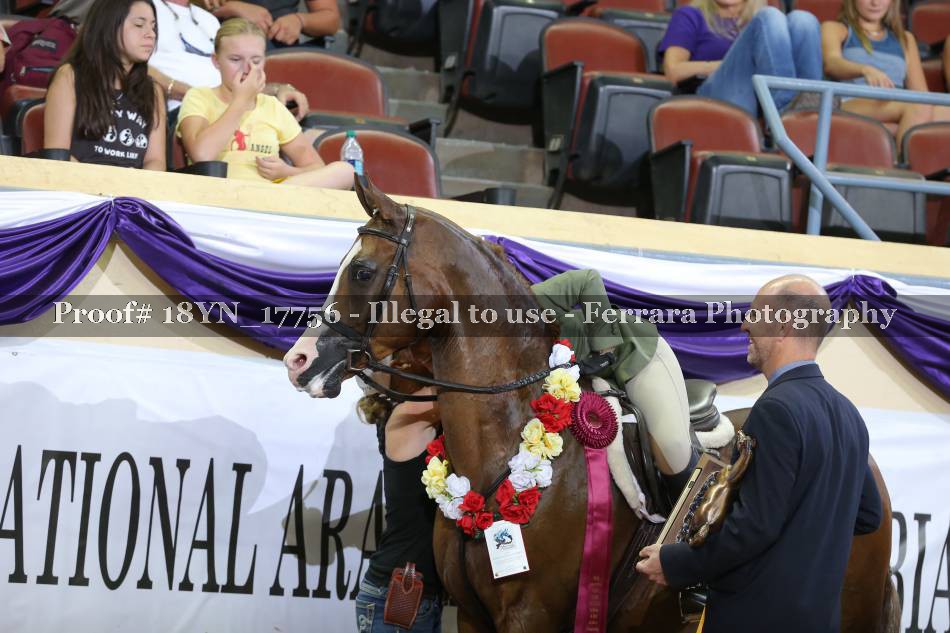 Proof 18YN_17756