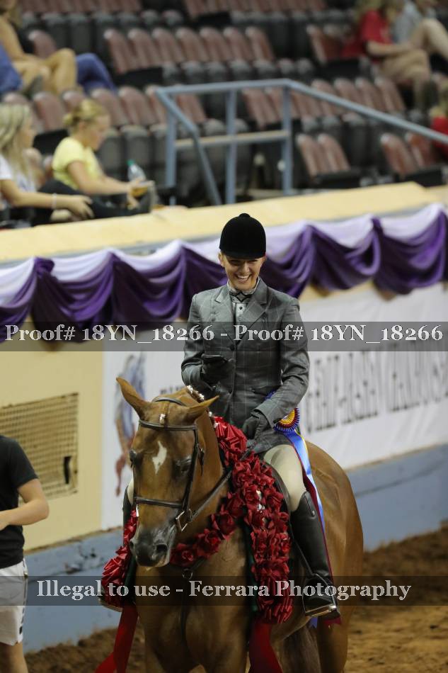 Proof 18YN_18266