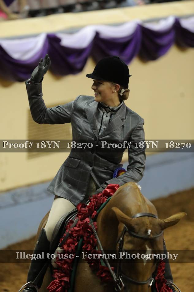 Proof 18YN_18270