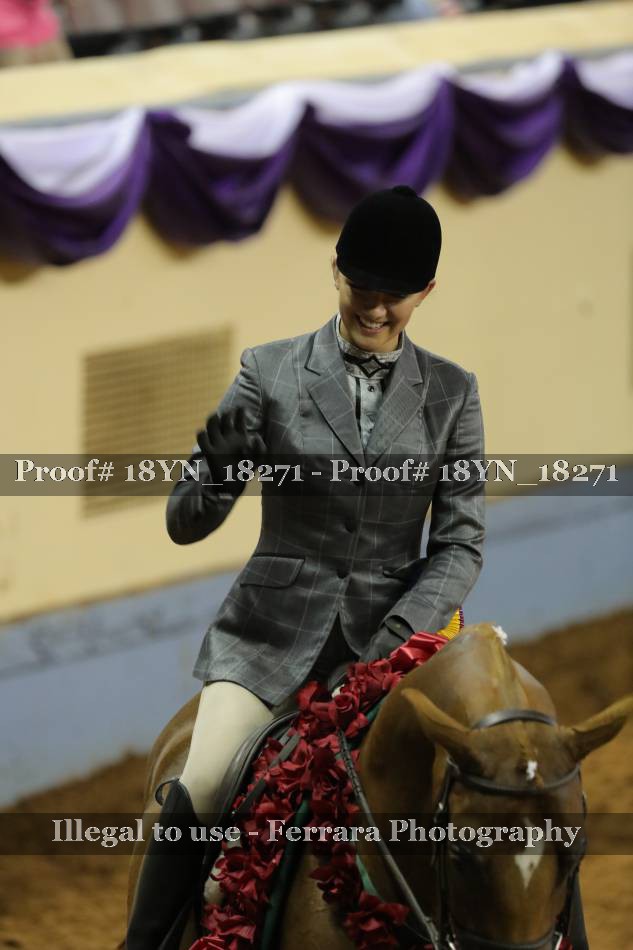 Proof 18YN_18271
