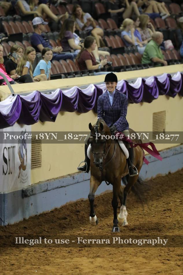 Proof 18YN_18277
