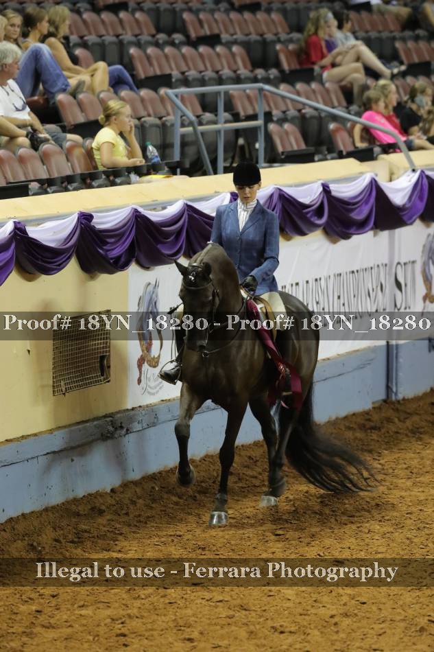 Proof 18YN_18280