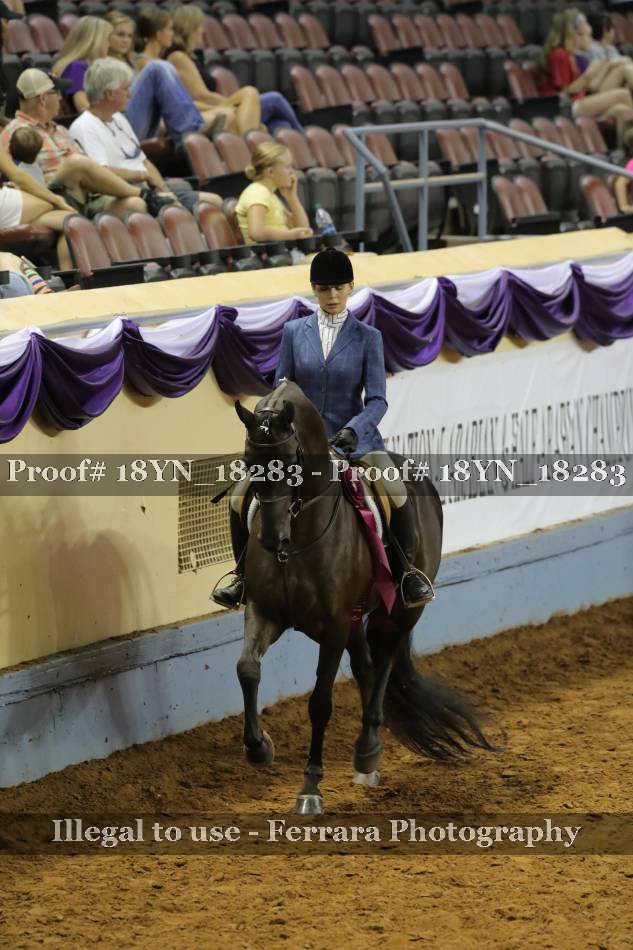 Proof 18YN_18283