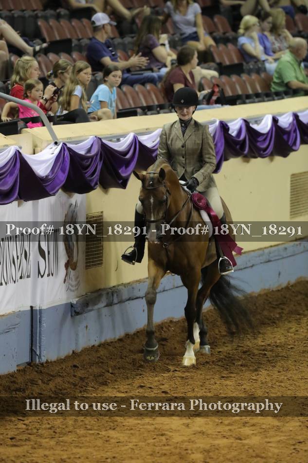Proof 18YN_18291