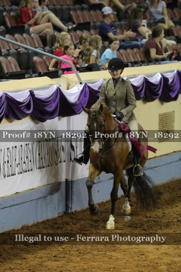 Proof 18YN_18292