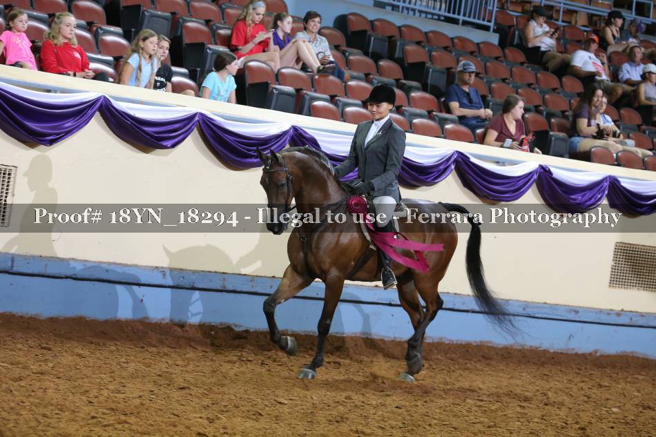 Proof 18YN_18294
