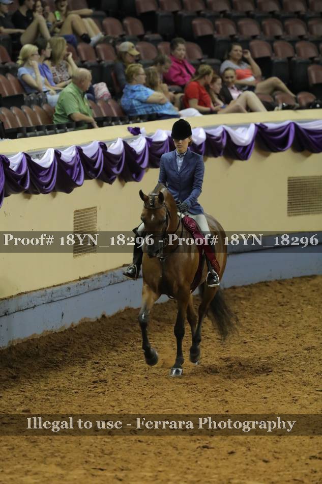 Proof 18YN_18296