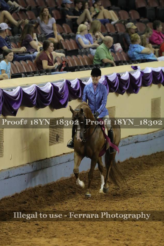 Proof 18YN_18302