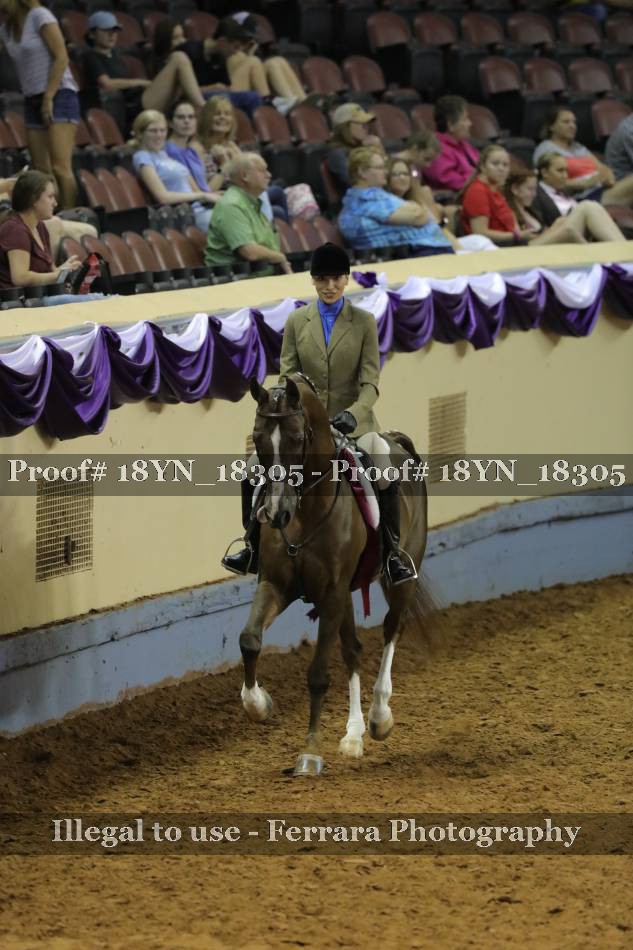 Proof 18YN_18305