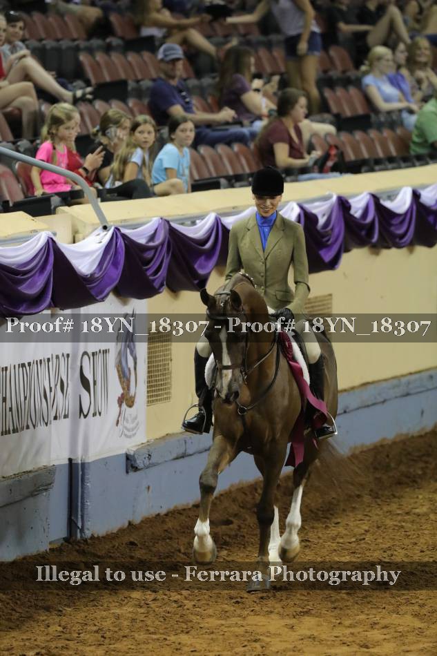 Proof 18YN_18307