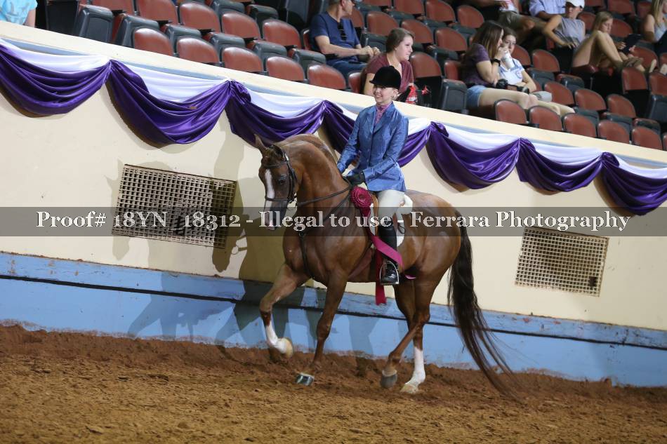 Proof 18YN_18312