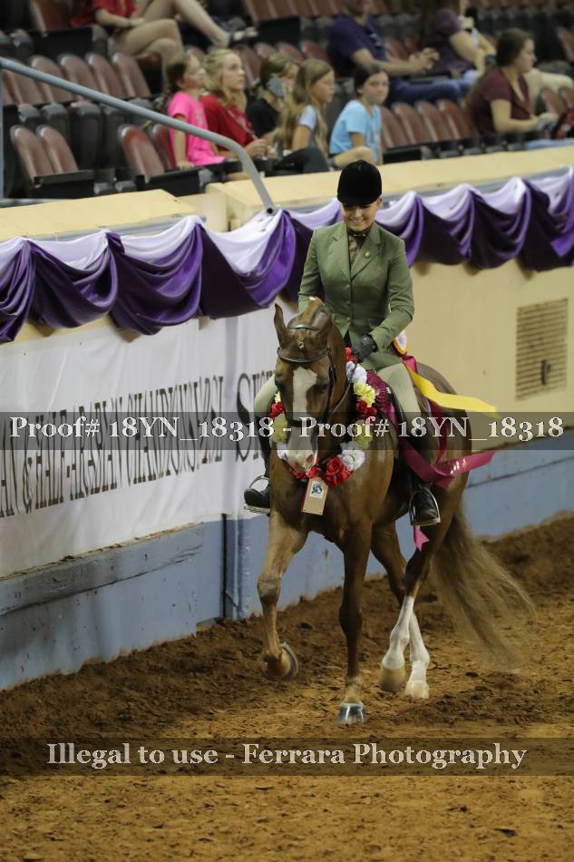 Proof 18YN_18318