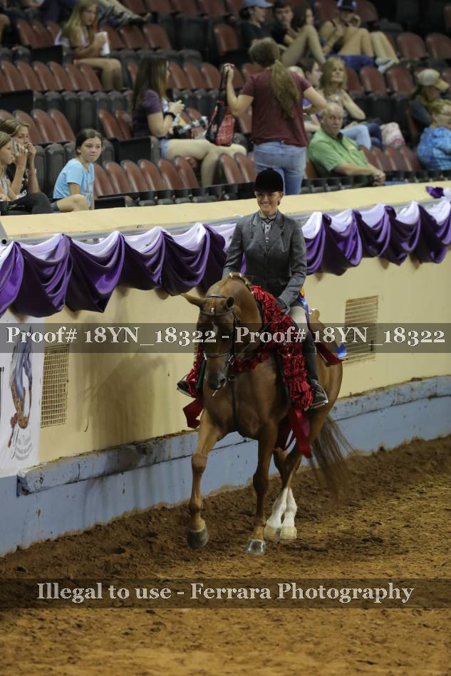 Proof 18YN_18322