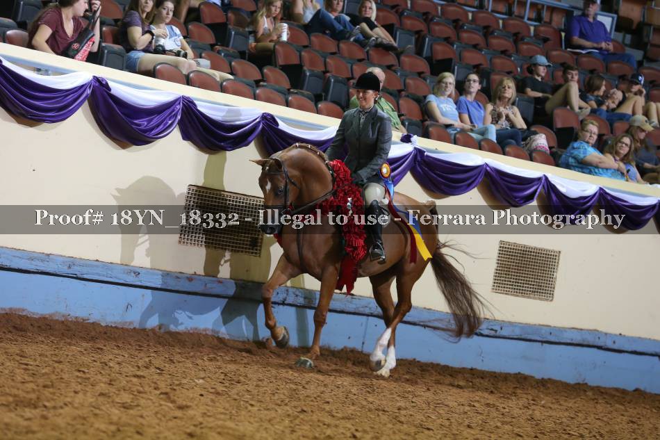 Proof 18YN_18332