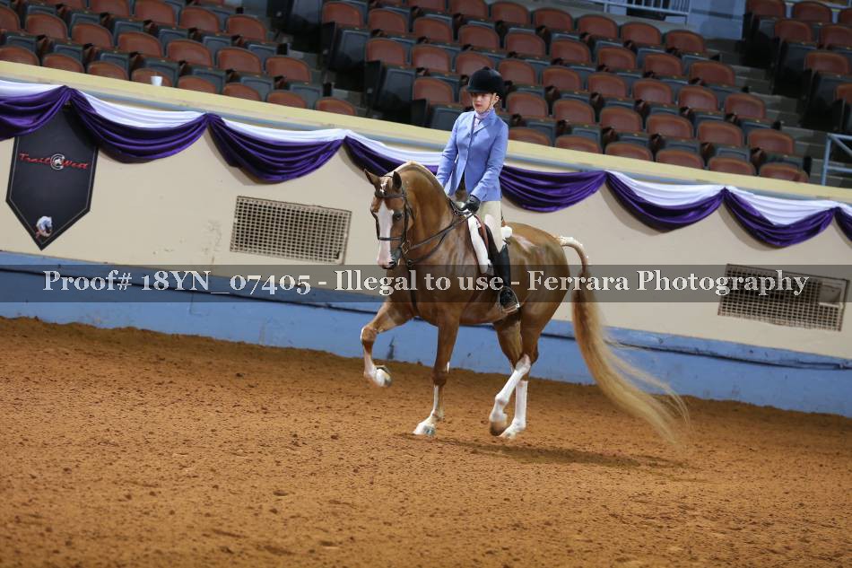 Proof 18YN_07405