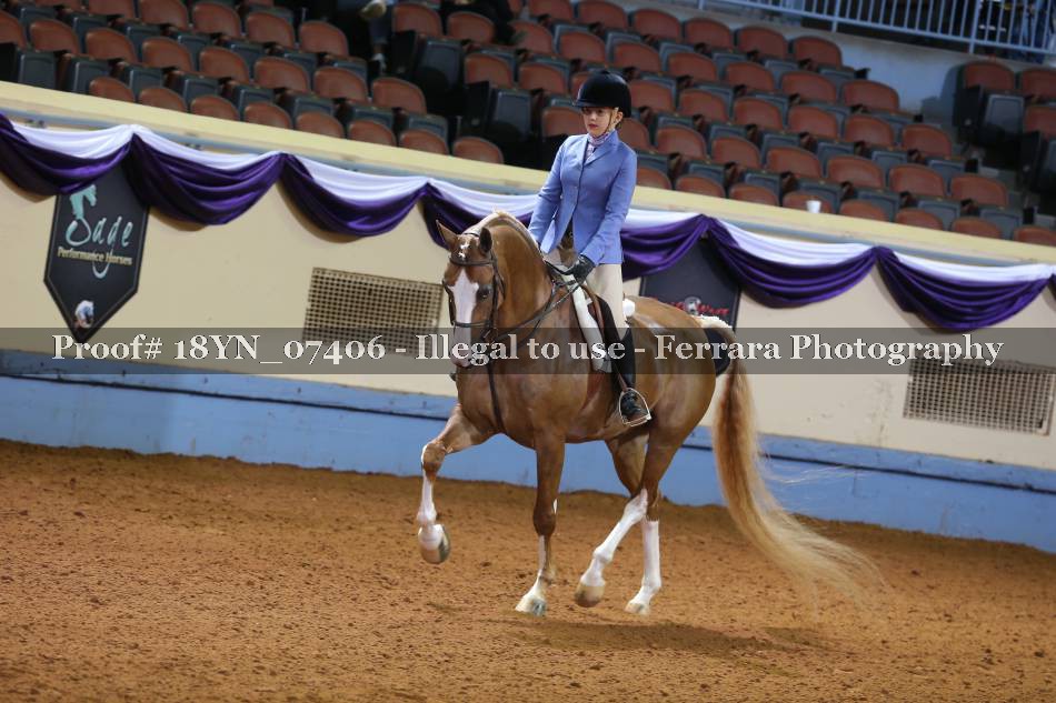 Proof 18YN_07406