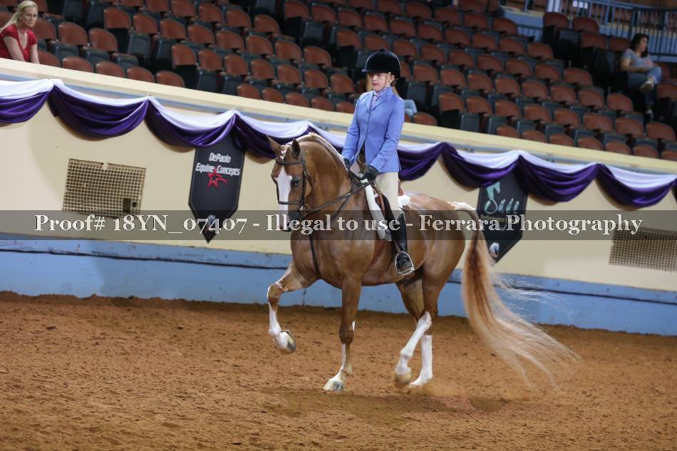 Proof 18YN_07407