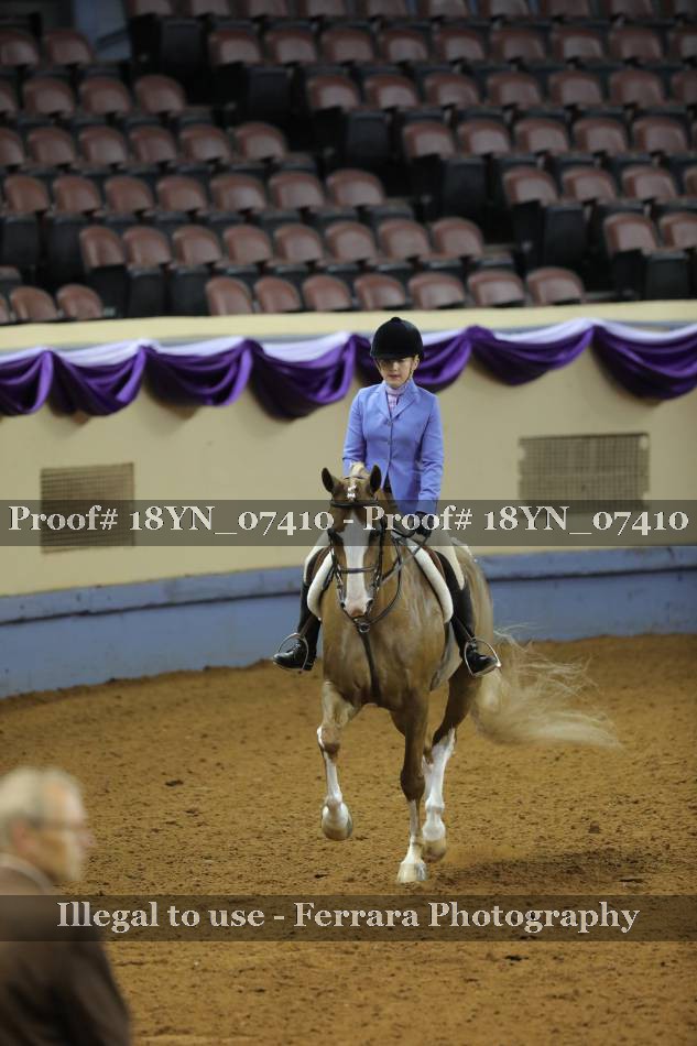 Proof 18YN_07410