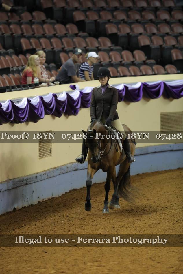 Proof 18YN_07428