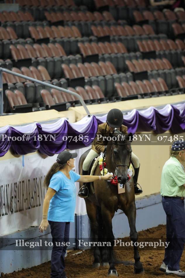 Proof 18YN_07485