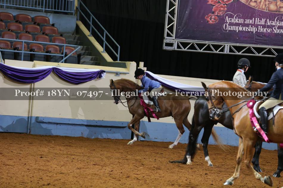Proof 18YN_07497