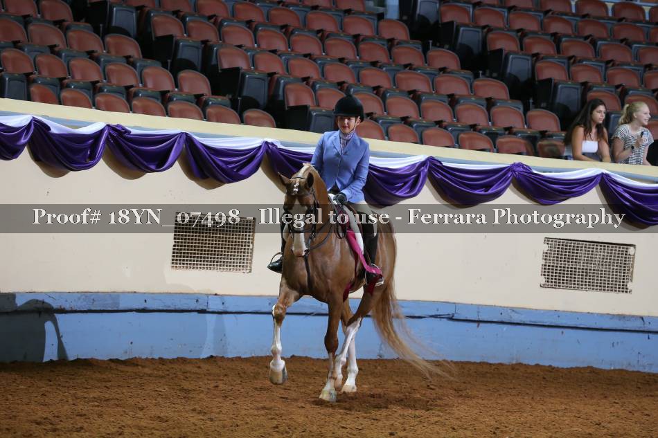 Proof 18YN_07498