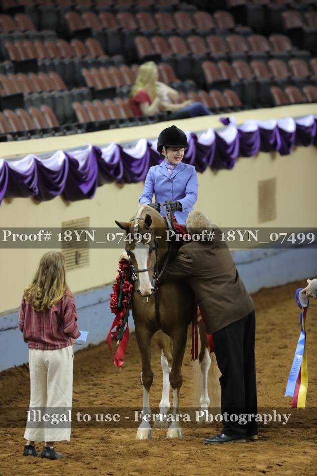 Proof 18YN_07499
