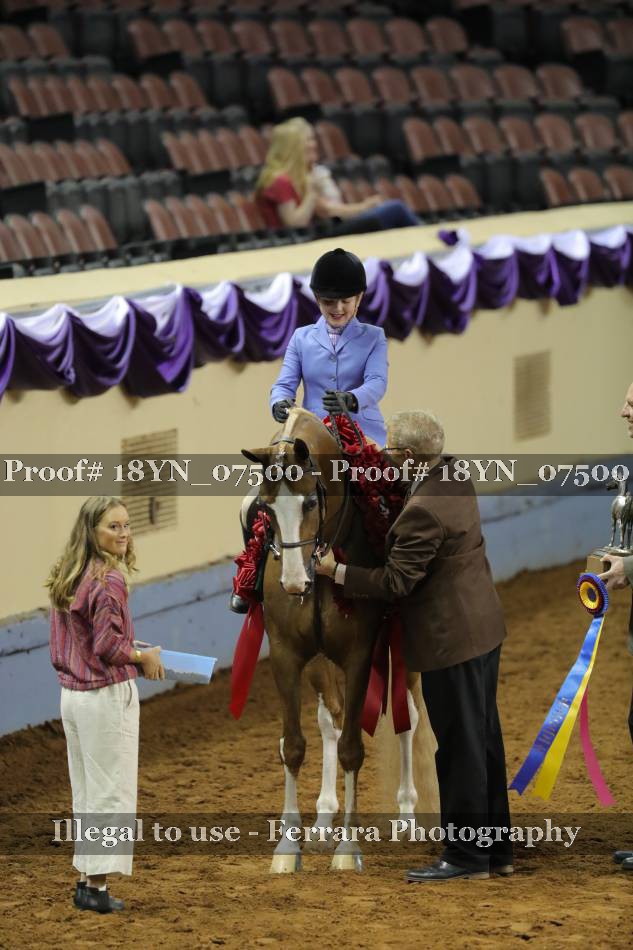 Proof 18YN_07500