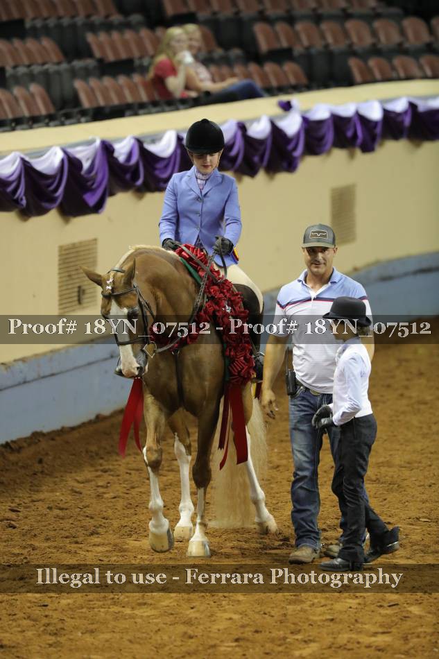 Proof 18YN_07512