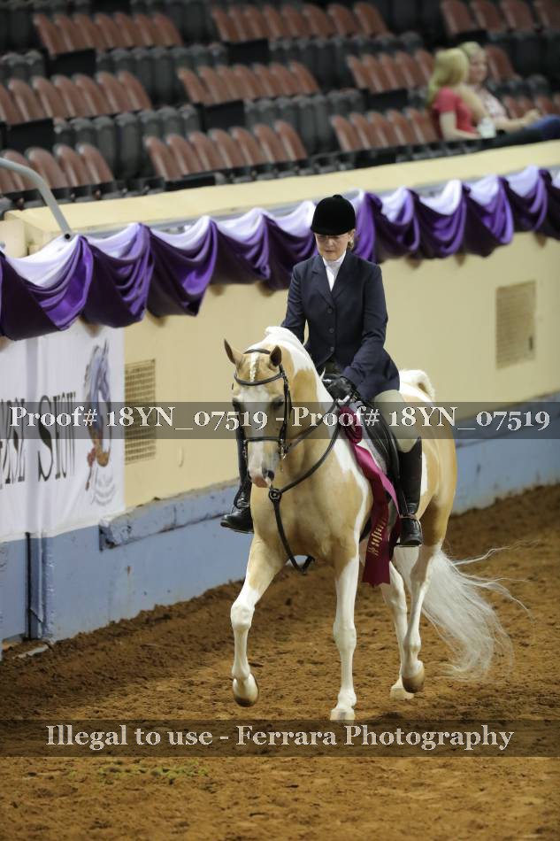 Proof 18YN_07519