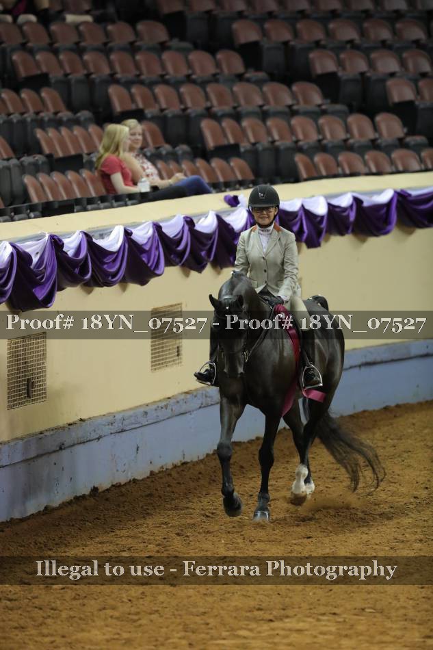 Proof 18YN_07527