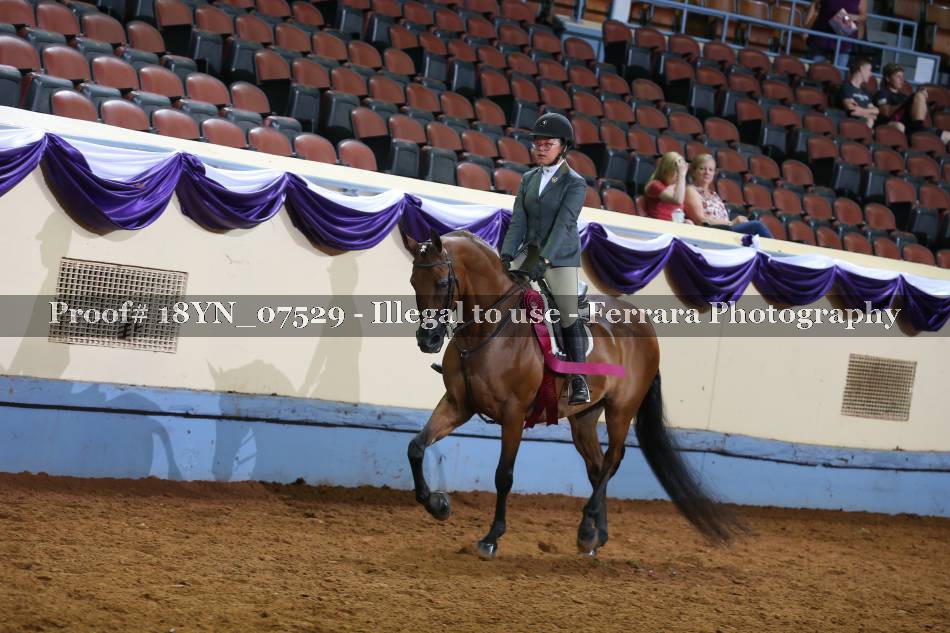 Proof 18YN_07529