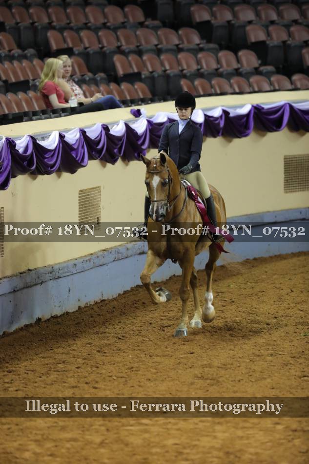 Proof 18YN_07532