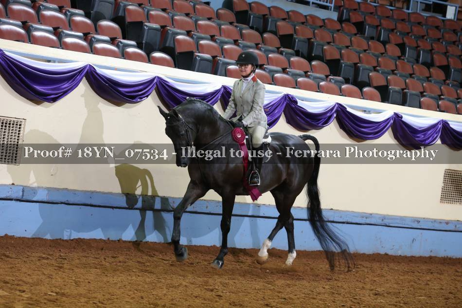 Proof 18YN_07534