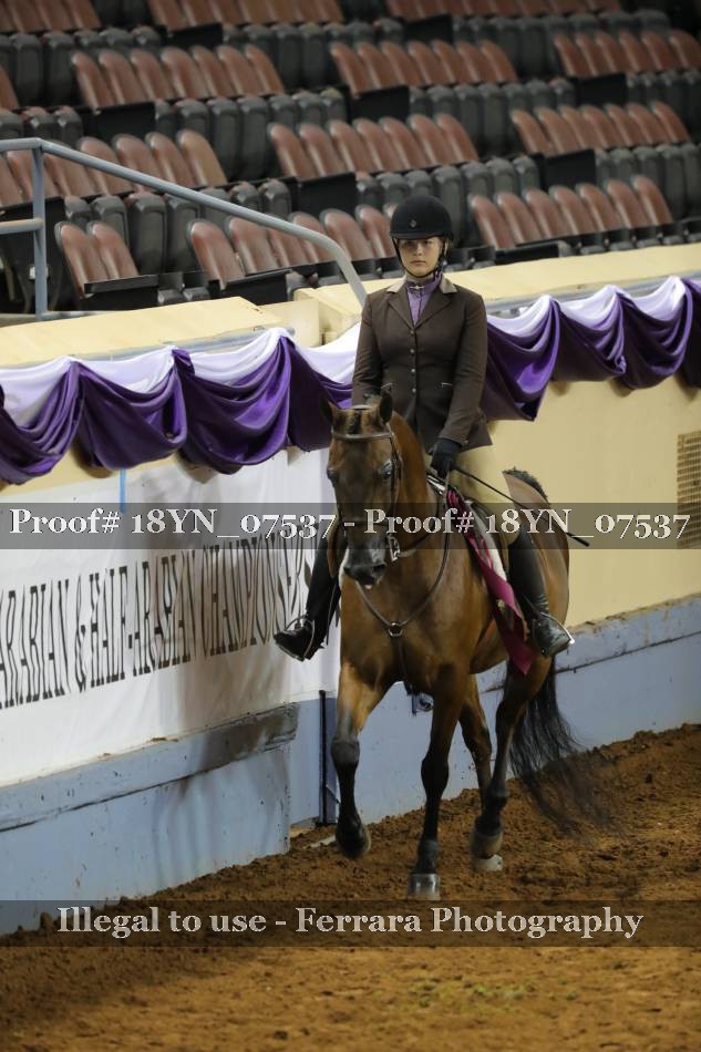Proof 18YN_07537