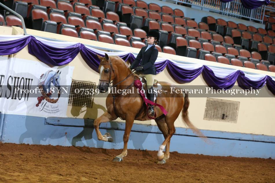 Proof 18YN_07539