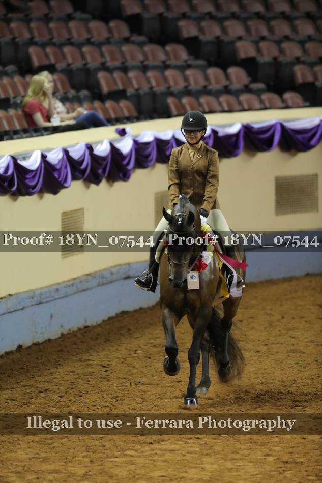 Proof 18YN_07544