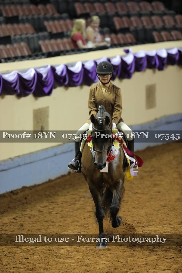 Proof 18YN_07545
