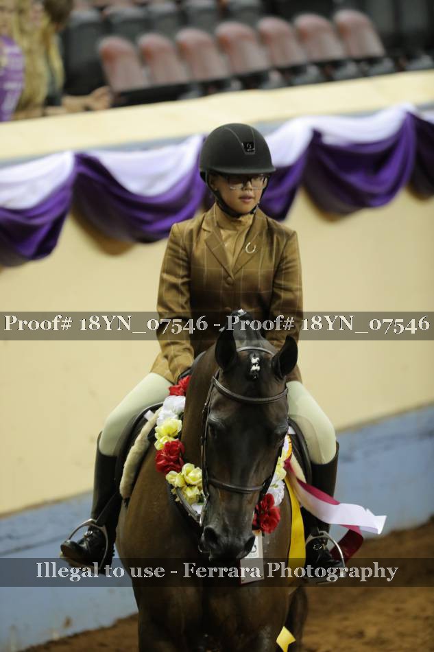 Proof 18YN_07546