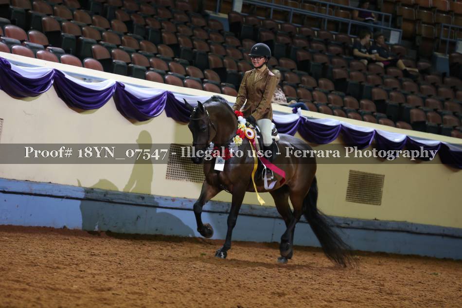 Proof 18YN_07547