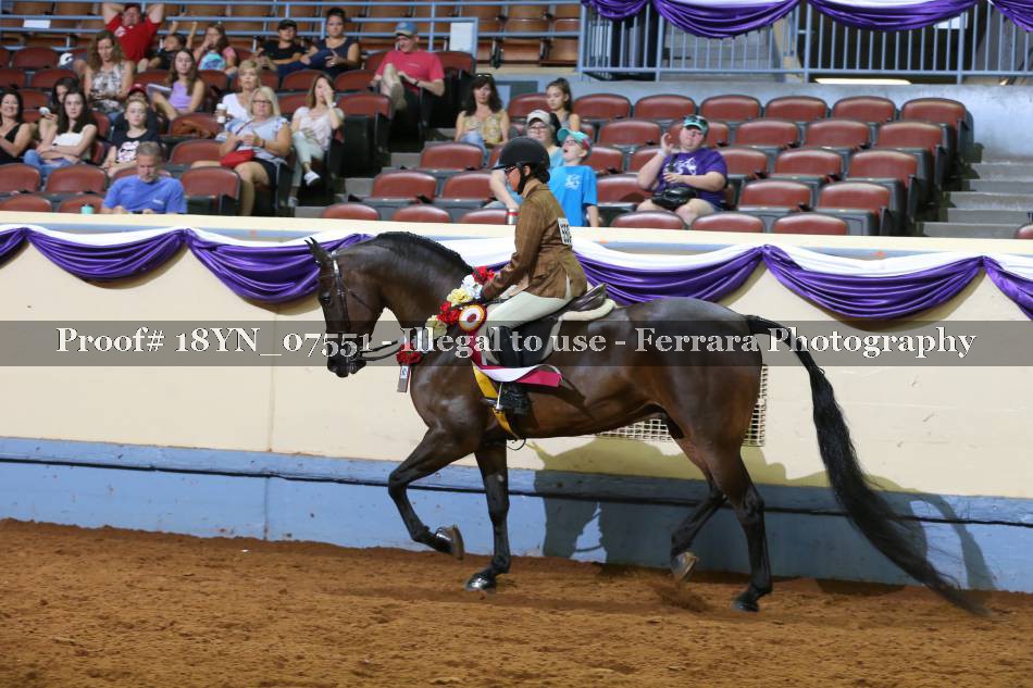 Proof 18YN_07551