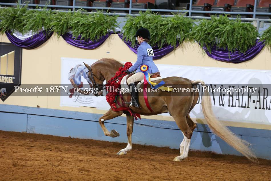 Proof 18YN_07553