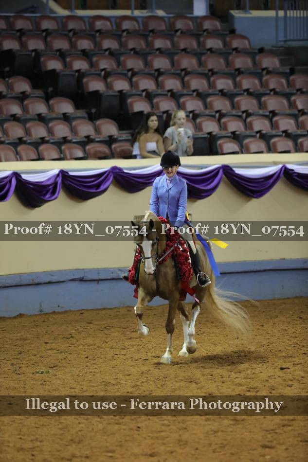 Proof 18YN_07554