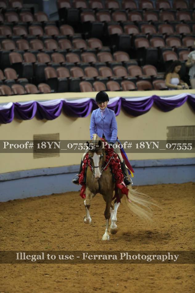 Proof 18YN_07555