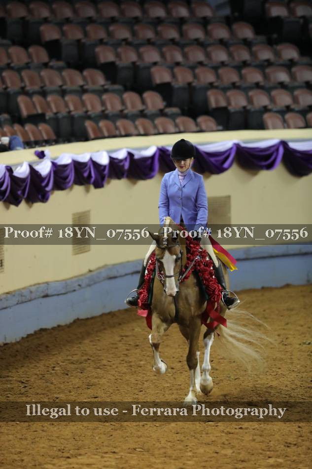 Proof 18YN_07556