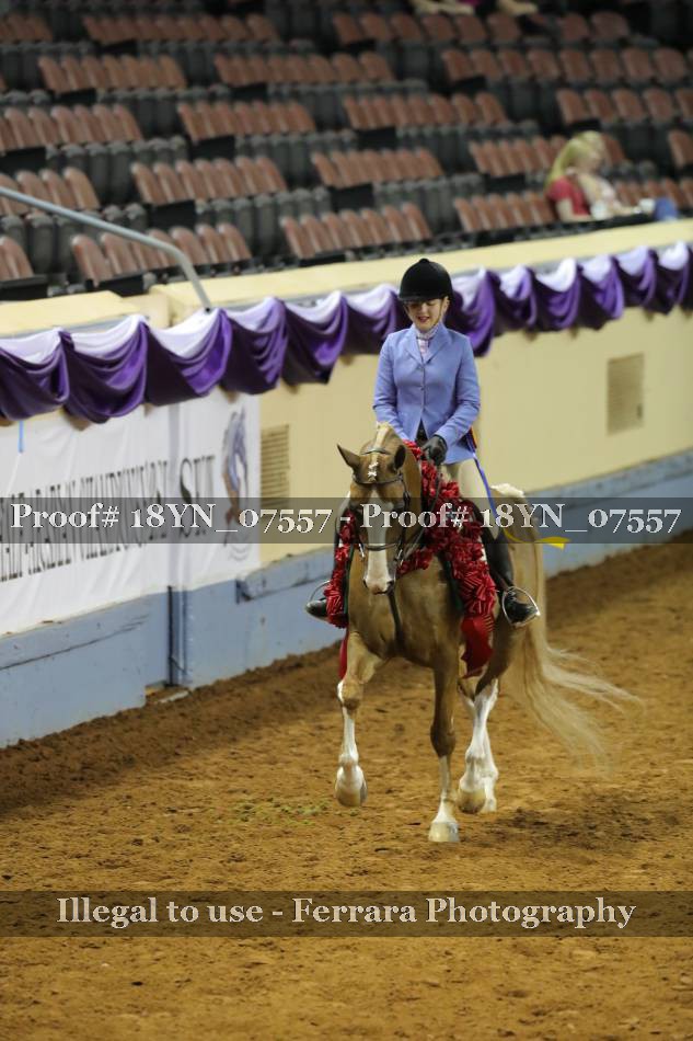 Proof 18YN_07557