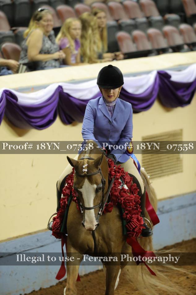Proof 18YN_07558